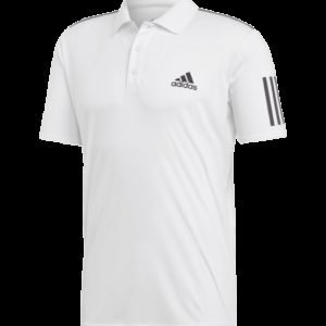 Adidas Club 3s Polo Tennispikee