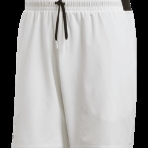 Adidas Club Sw Short 7in Tennisshortsit